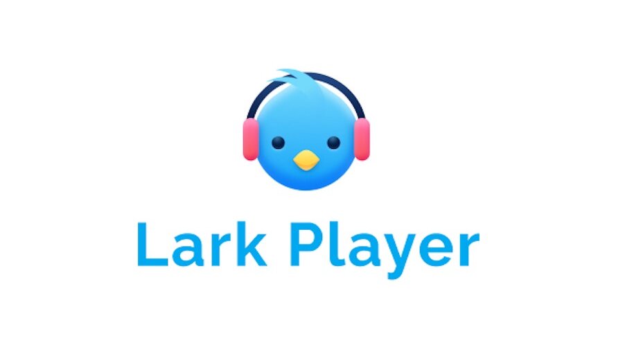 It is Possible to Download Music from Lark Player?
