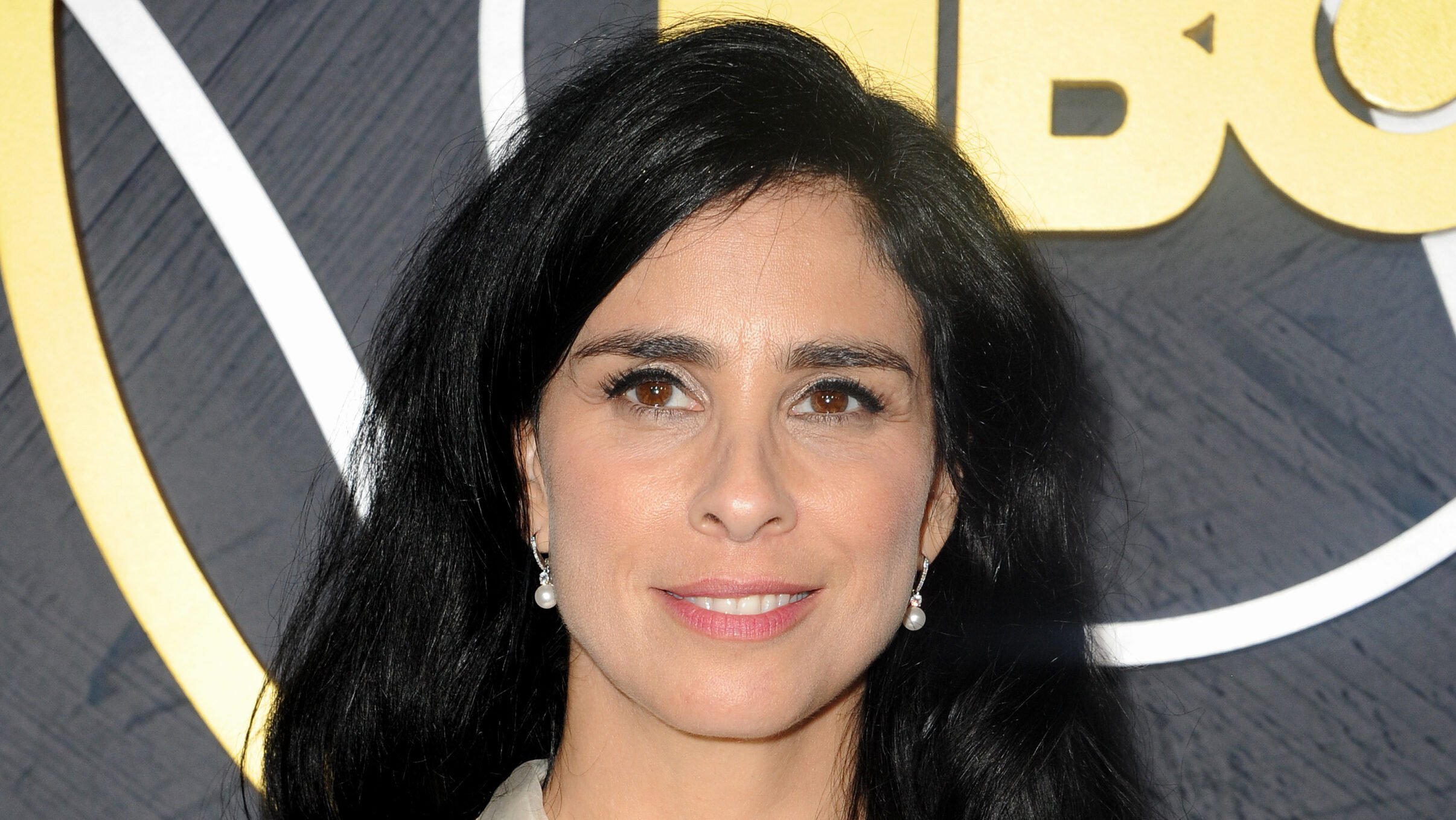 Sarah Silverman sues OpenAI and Meta over alleged copyright infringement in AI training – Music Business Worldwide