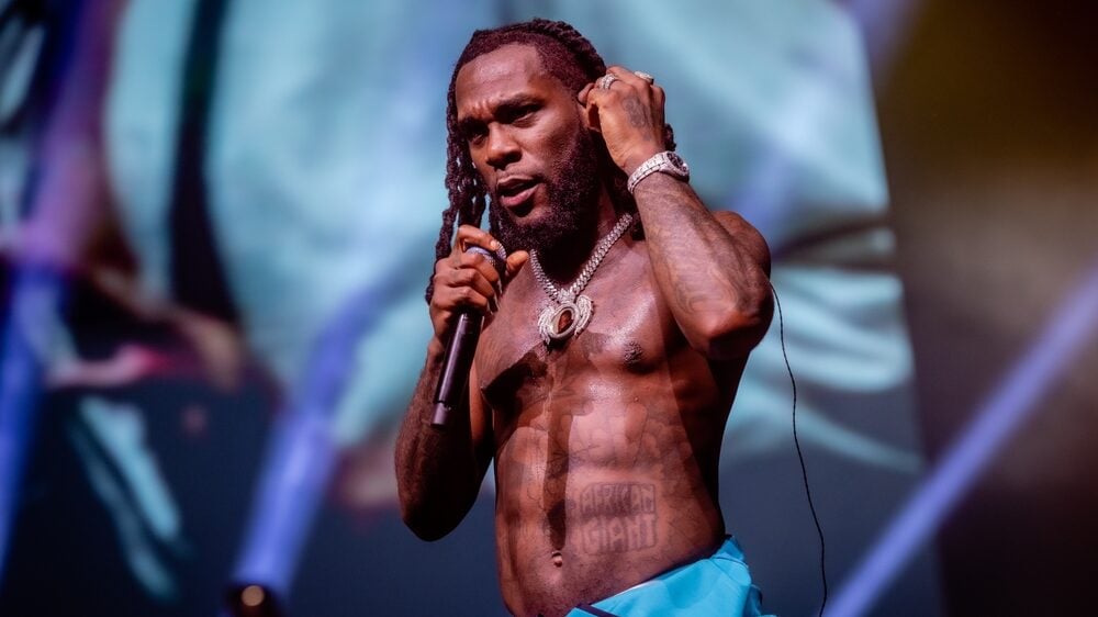 Davido And Burna Boy Net Worth 2024 A Deep Dive Into Their Wealth And