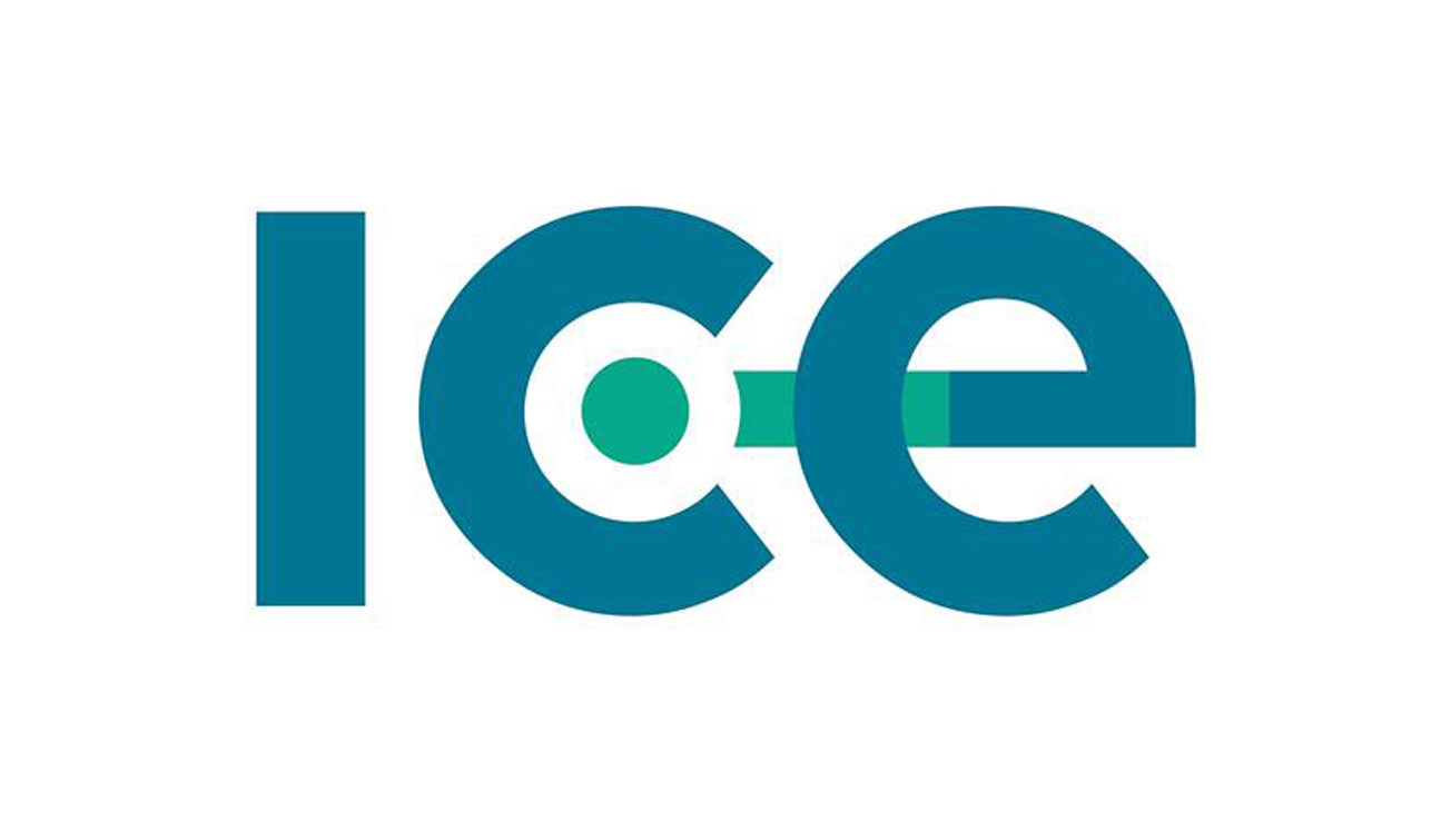 ICE Services System Accountant, NetSuite Implementation (6 9month